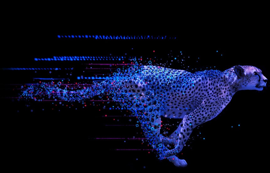 image of a cheetah representing kdb fast data analytics - KX